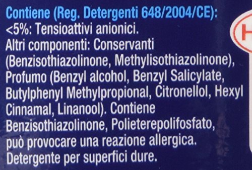 Bref Fresh Brillante Detersivo Brillante Pavimenti per tutte le Superfici, Igiene Casa, 1 Confezione 1250 ml