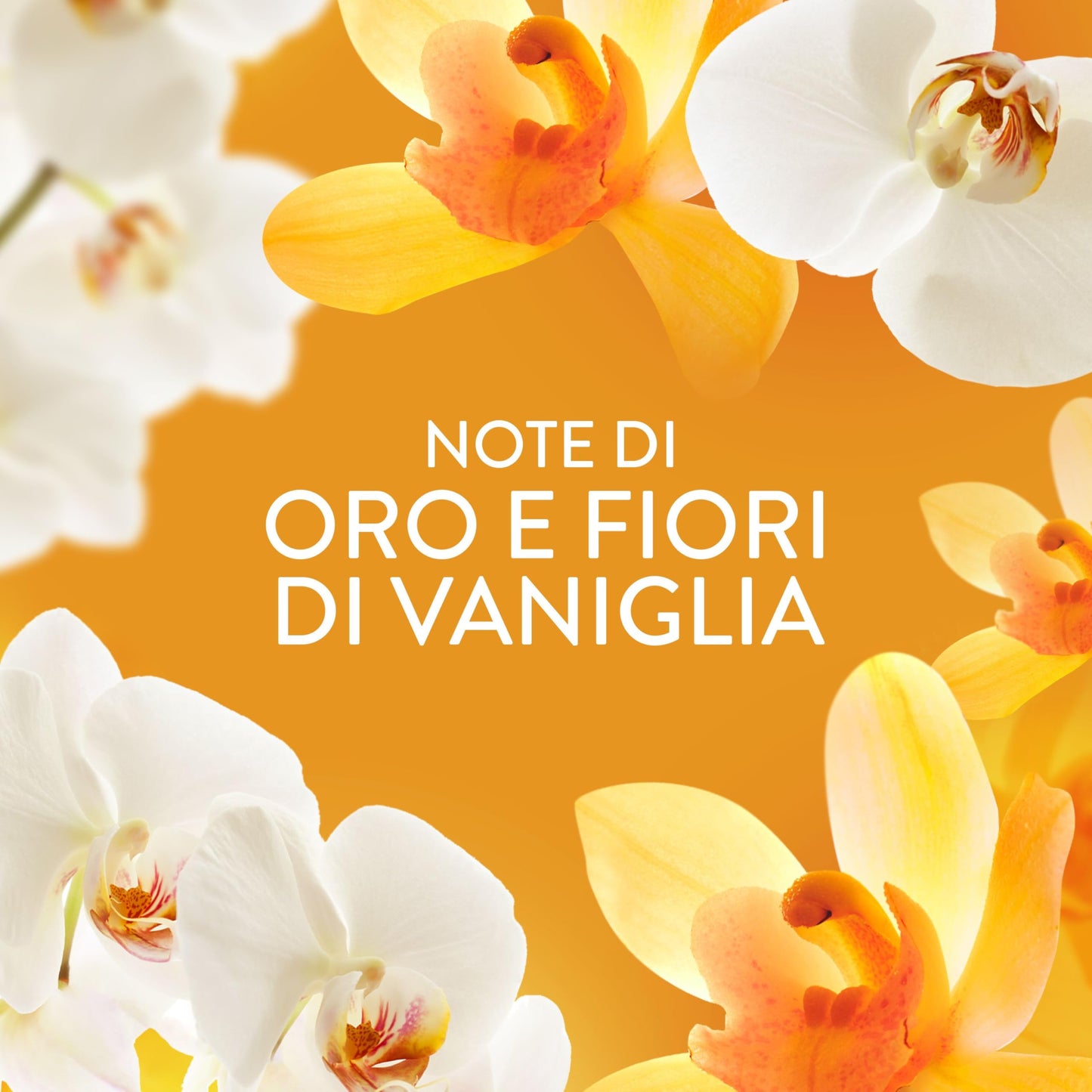 Lenor Profumatore Bucato Perle Profumate Lavatrice,Oro e Fiori Di Vaniglia, Maxi Formato 6 x 270g, Intensificatore Di Profumo