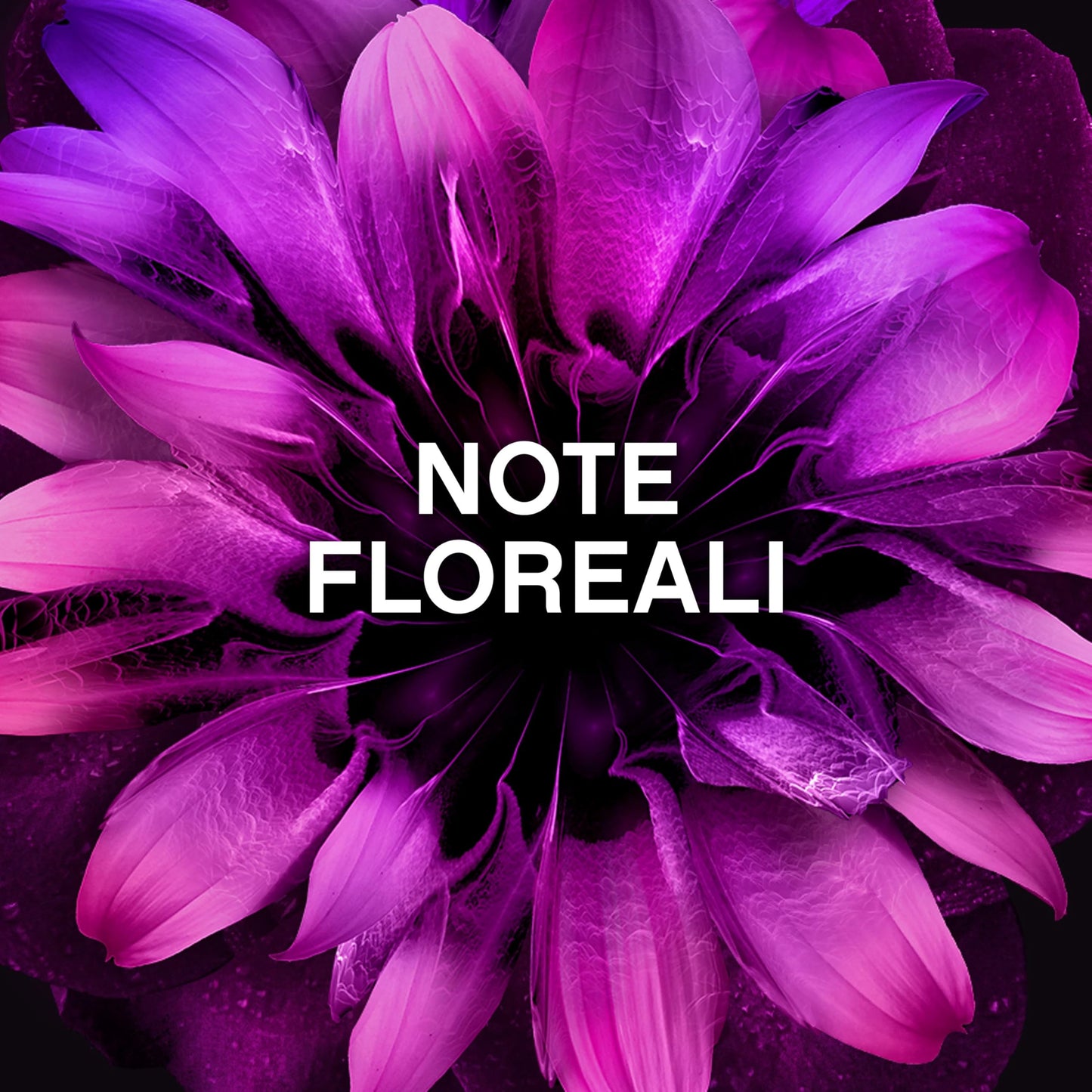 Lenor Profumatore Bucato Lavatrice Unstoppables Freschezza Floreale, Mega Pacco 6 x 270 g